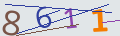 verifycode